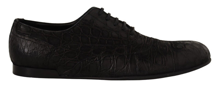 Elegant Oxford shoes made of exotic leather