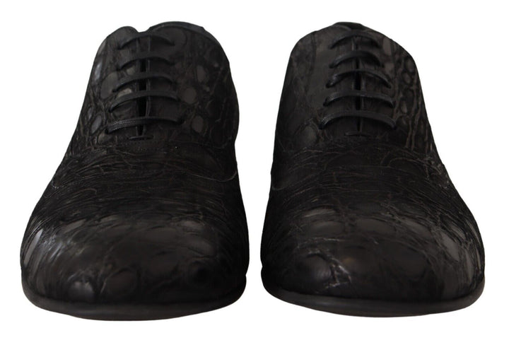 Elegant Oxford shoes made of exotic leather