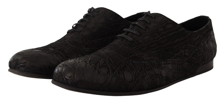 Elegant Oxford shoes made of exotic leather
