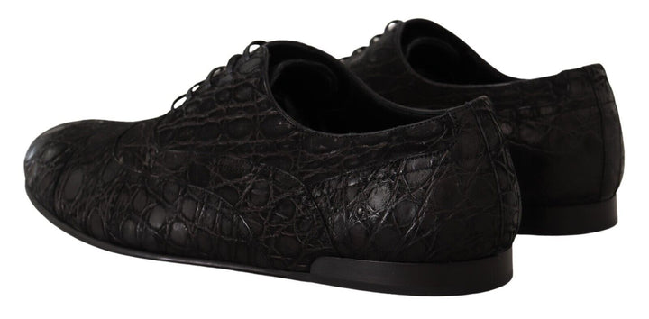 Elegant Oxford shoes made of exotic leather