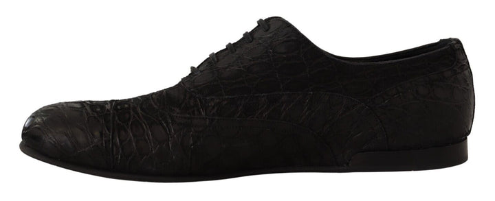 Elegant Oxford shoes made of exotic leather