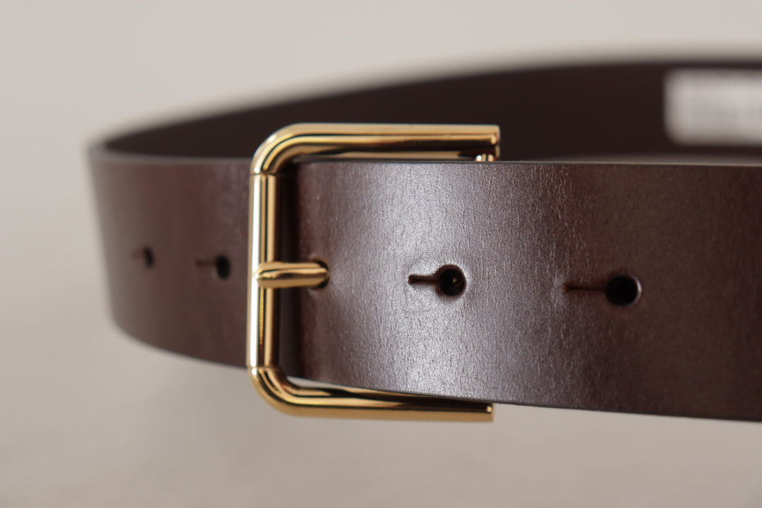 Elegant dark brown leather belt