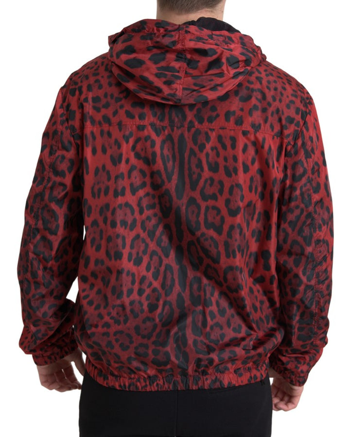 Rote Leoparden-Bomberjacke mit Kapuze