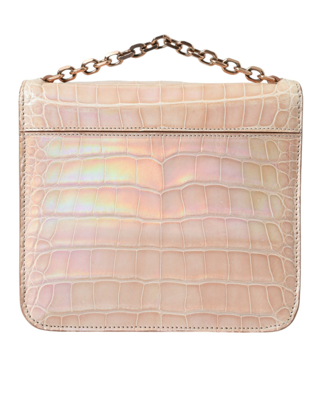 Beige Blauer Achat Exotisches Leder Gold Kette Geldbörse Tasche