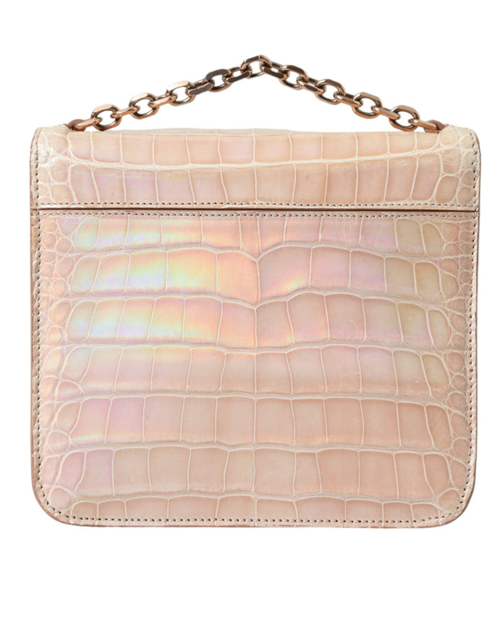 Beige Blauer Achat Exotisches Leder Gold Kette Geldbörse Tasche