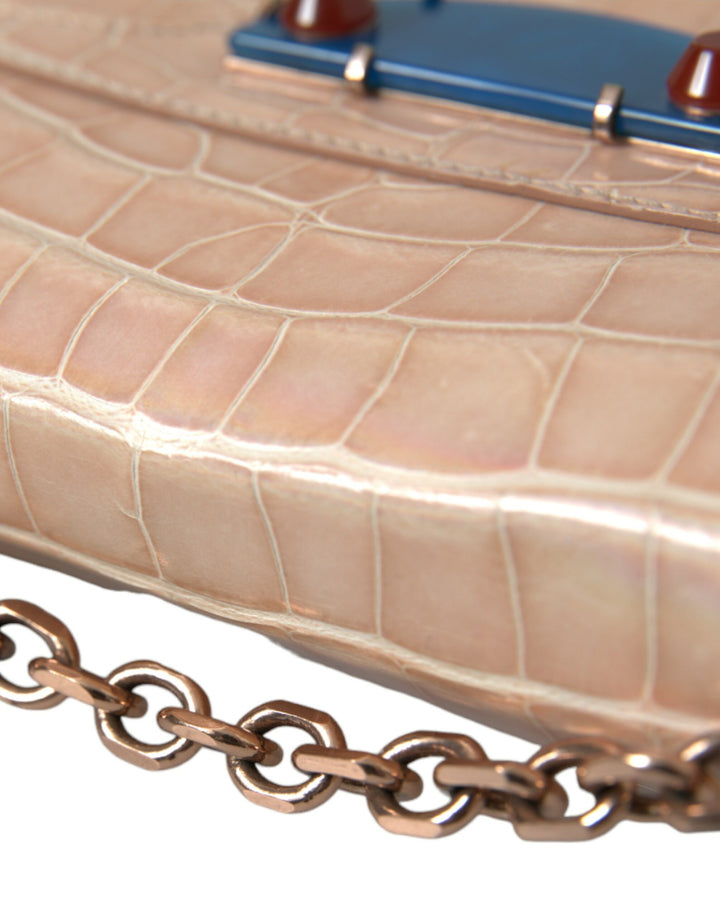Beige Blauer Achat Exotisches Leder Gold Kette Geldbörse Tasche