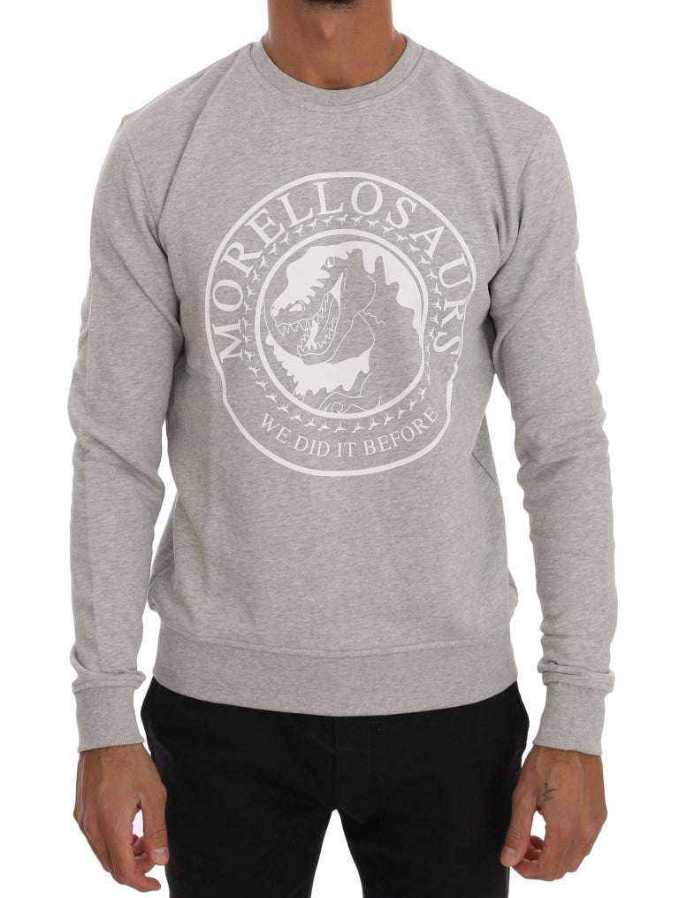 Chic Morellosaurs cotton sweater with round neck