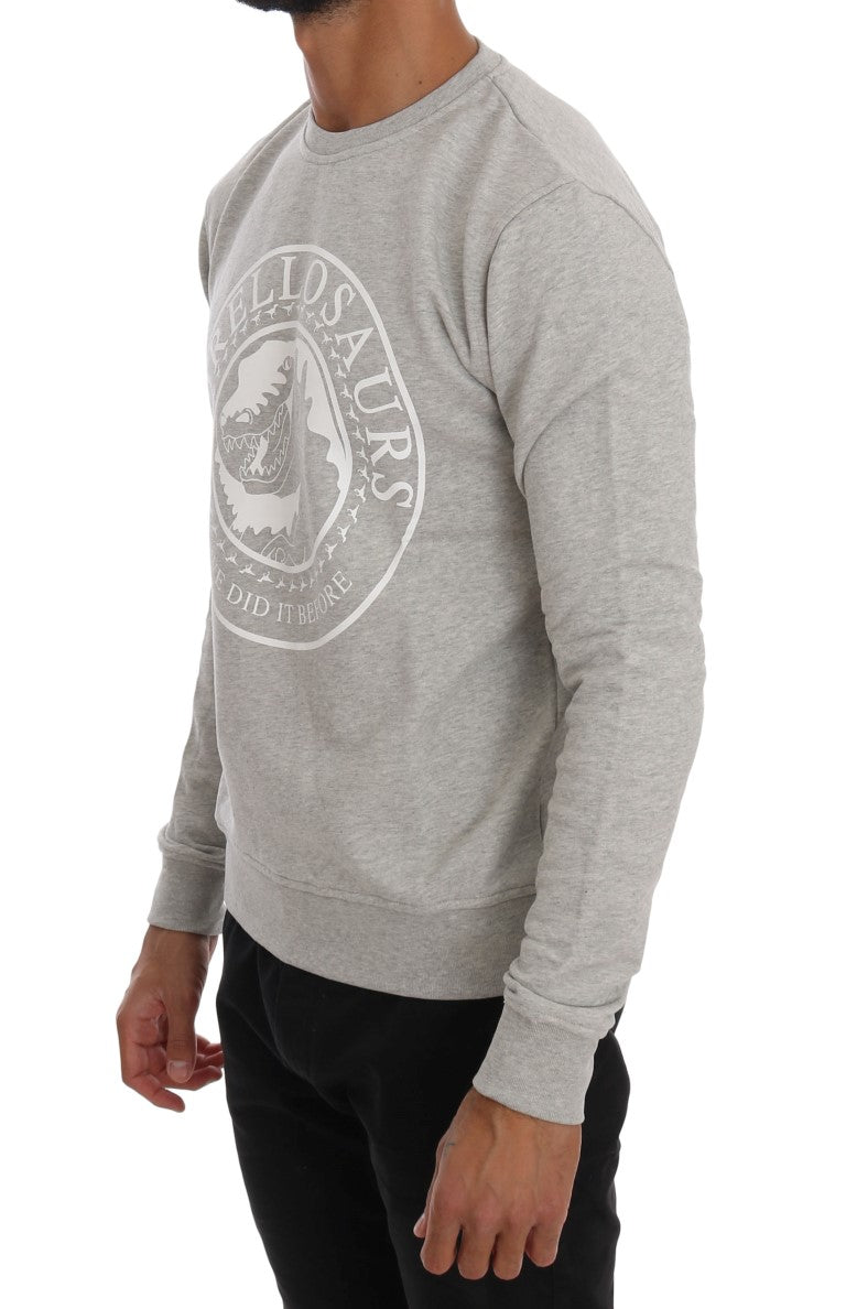 Chic Morellosaurs cotton sweater with round neck