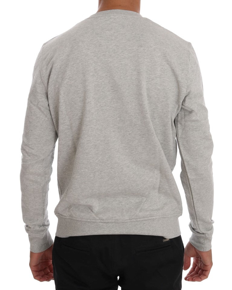 Chic Morellosaurs cotton sweater with round neck