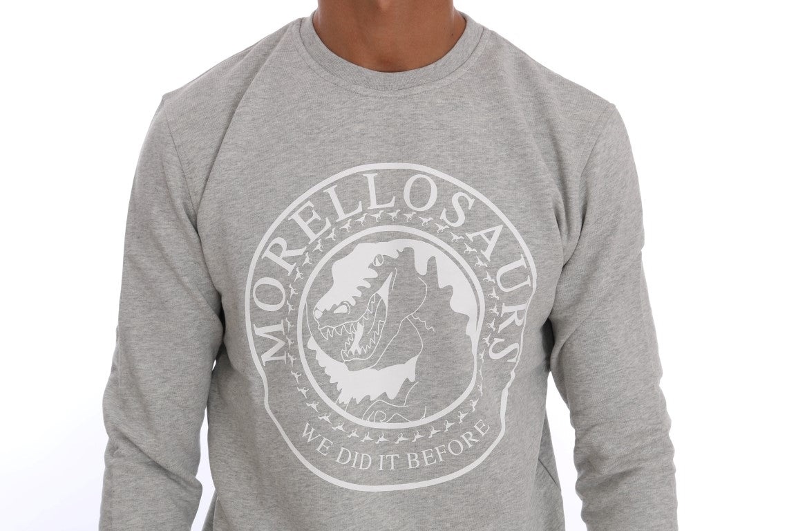 Chic Morellosaurs cotton sweater with round neck