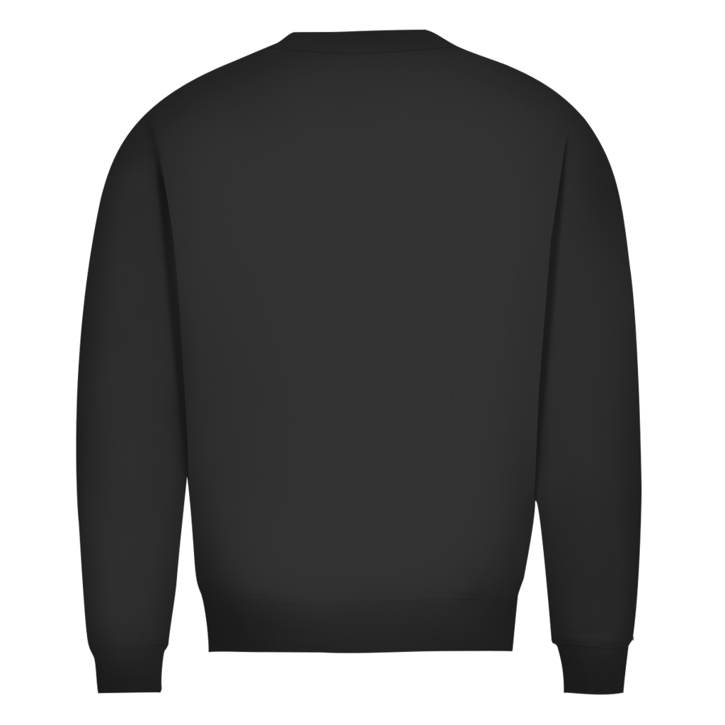 Herren Premium Bio Sweatshirt Galatasaray